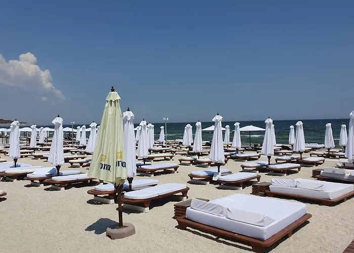 911 아파트 마마이아